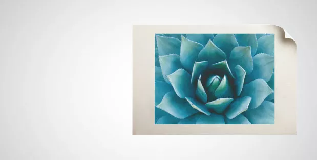 Canvas 1