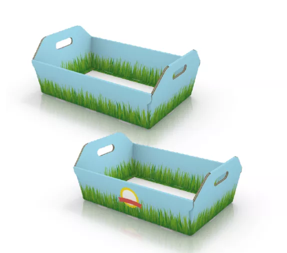 Design 02