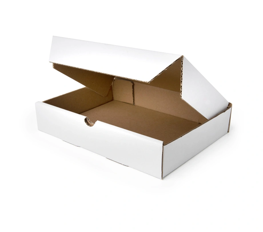 Maxibriefkarton drucken