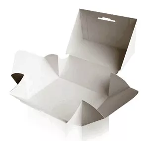 Verpackung "Immo" mit Verschluss und Halterungsöffnung 1