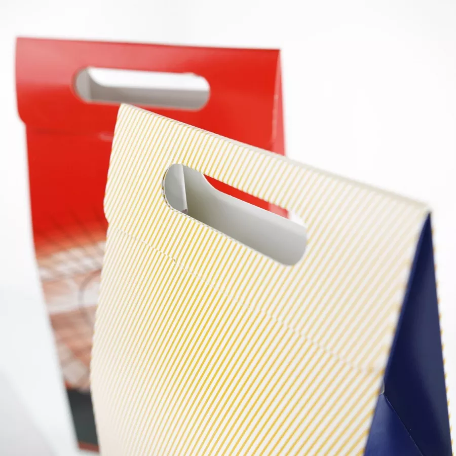 Verpackung für 2 Sekt- oder Weinflaschen 1